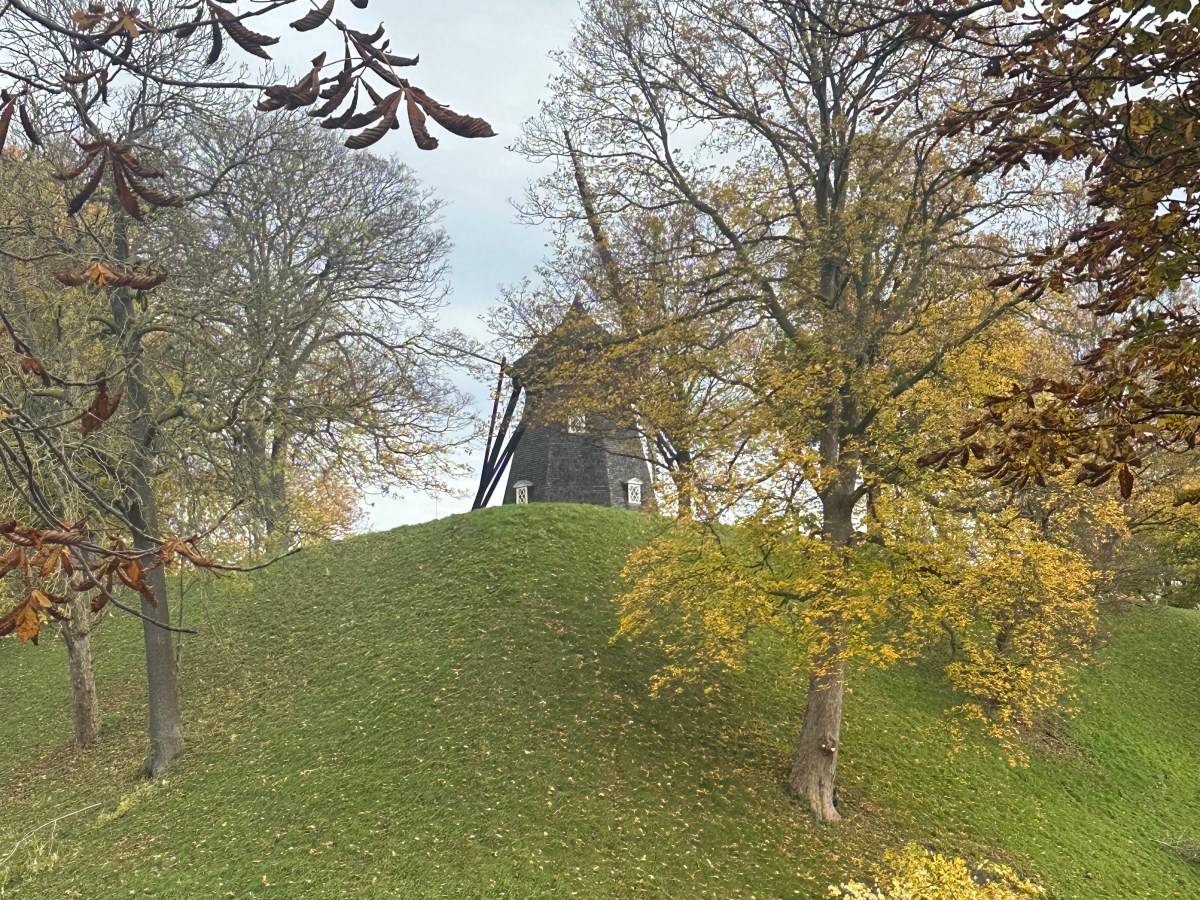 From Wooded Walks to the Beating Heart of a Modern Metropolis – Here are 5 Underrated Sights in&nbsp;Copenhagen